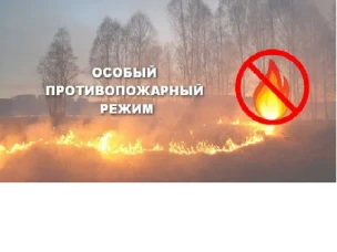Подготовка объектов и населенных пунктов Нижегородской области к пожароопасному периоду 2025 года и установление особого противопожарного режима на территории Нижегородской области с 1 апреля 2025 г.